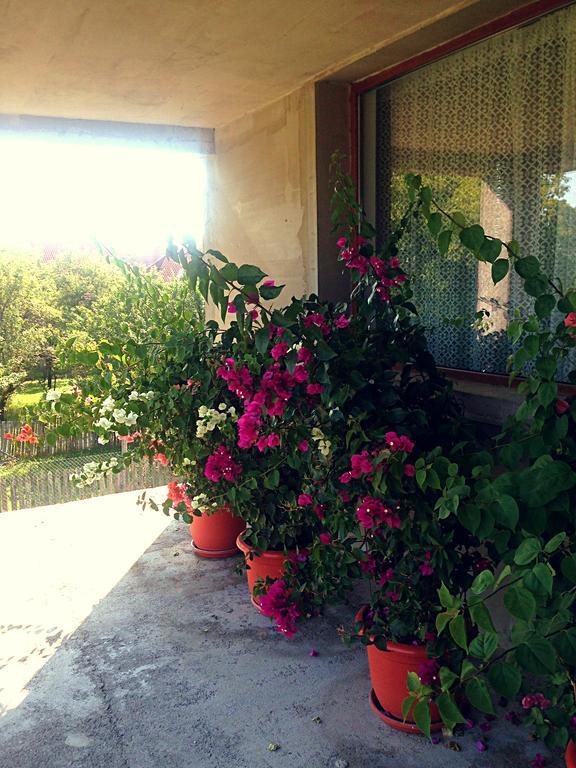 Casa Renti Hotel Novaci-Străini Eksteriør billede